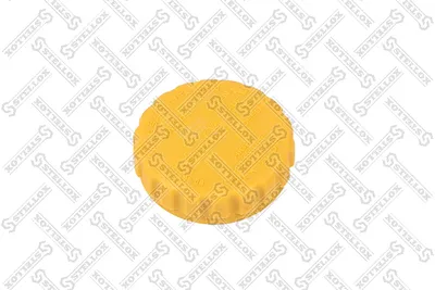 Bouchon, réservoir de liquide de refroidissement Ford SCORPIO I · Ford SCORPIO I Saloon · Ford SIERRA II Hatchback