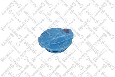 Bouchon, réservoir de liquide de refroidissement Audi A4 B5 · Audi A6 C5 · Audi A6 C5 Avant