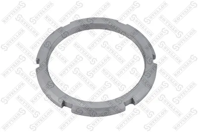 Cochon STELLOX 83-06817-SX
