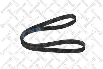 Courroie trapézoïdale à nervures Audi A5 · Audi A4 B8 · Audi A4 B8 Avant