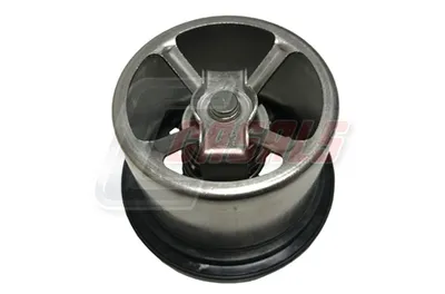 Thermostat, réfrigérants de type Cciones 65901