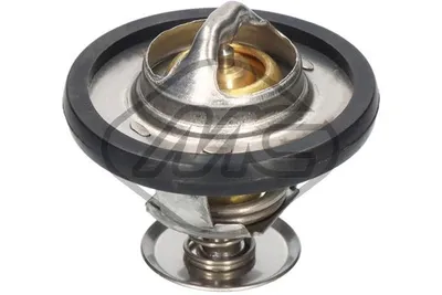 Thermostat, liquide de refroidissement Ford TRANSIT V363 Bus · Ford TRANSIT V363 Van · Ford TRANSIT V363 Platform/Chassis