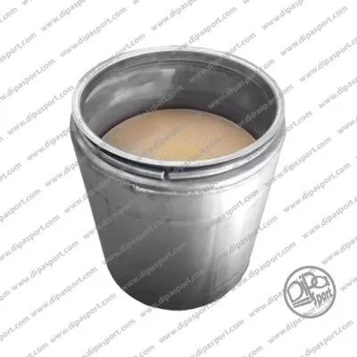 Filtre à particuliers DIPASPORT FAP306R