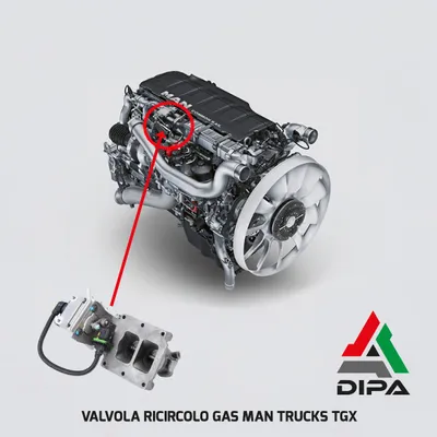 Vanne EGR DIPASPORT EGR610N