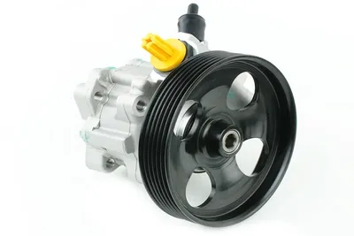 Pompe hydraulique, direction Citroën BERLINGO MULTISPACE · Citroën BERLINGO Box Body/MPV · Peugeot PARTNER TEPEE