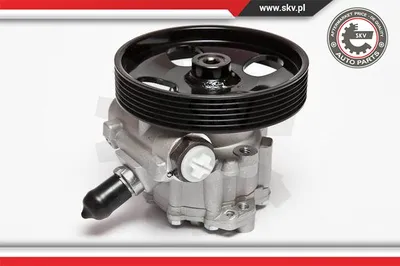 Pompe hydraulique, direction Citroën BERLINGO MULTISPACE · Citroën BERLINGO Box Body/MPV · Peugeot PARTNER TEPEE