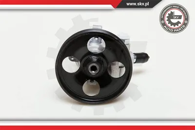 Pompe hydraulique, direction Citroën BERLINGO / BERLINGO FIRST Box Body/MPV · Citroën BERLINGO / BERLINGO FIRST MPV · Peugeot PARTNER Box Body/MPV