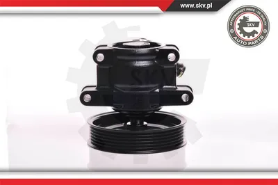 Pompe hydraulique, direction Ford FIESTA IV · Ford FIESTA Box Body/MPV · Ford KA