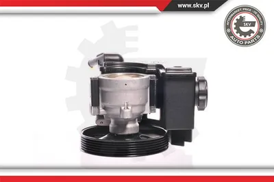 Pompe hydraulique, direction Citroën C2 · Peugeot 206 Hatchback · Peugeot 206 SW