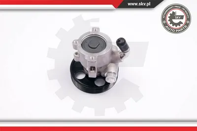 Pompe hydraulique, direction Citroën ZX · Citroën BERLINGO / BERLINGO FIRST Box Body/MPV · Citroën BERLINGO / BERLINGO FIRST MPV