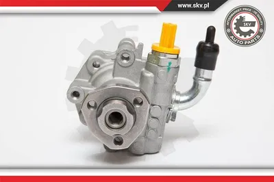 Pompe hydraulique, direction Vw MULTIVAN T5 · Vw TRANSPORTER T5 Platform/Chassis (7JD, 7JE, 7JL, 7JY, 7JZ, 7F · Vw TRANSPORTER T5 Van