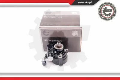 Pompe hydraulique, direction Nissan KUBISTAR Van · Renault CLIO I · Renault KANGOO