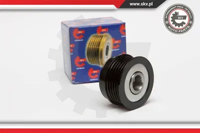 Poulie roue libre, alternateur Audi A4 B5 · Audi A8 D2 · Audi A3