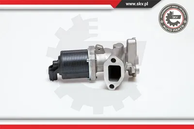 Vanne EGR Fiat PALIO · Fiat PUNTO · Fiat SIENA