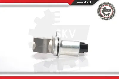 Vanne EGR Seat IBIZA III · Seat CORDOBA · Skoda FABIA I