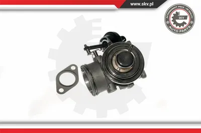 Vanne EGR Vw NEW BEETLE