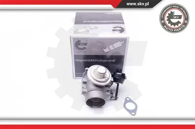 Vanne EGR Vw TRANSPORTER T4 Bus · Vw TRANSPORTER T4 Van · Vw TRANSPORTER T4 Platform/Chassis (70E, 70L, 70M, 7DE, 7DL, 7D