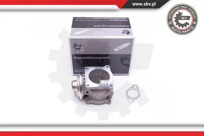 Vanne EGR Vw PHAETON · Vw TOUAREG