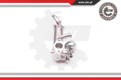 Vanne EGR Vw TOUAREG · Vw MULTIVAN T5 · Vw TRANSPORTER T5 Platform/Chassis (7JD, 7JE, 7JL, 7JY, 7JZ, 7F