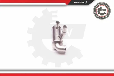 Radiateur, réaspiration des gaz d'échappement Citroën BERLINGO / BERLINGO FIRST Box Body/MPV · Citroën BERLINGO / BERLINGO FIRST MPV · Citroën XSARA PICASSO