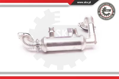 Radiateur, réaspiration des gaz d'échappement Ford TOURNEO CONNECT · Ford TRANSIT CONNECT · Ford FOCUS C-MAX