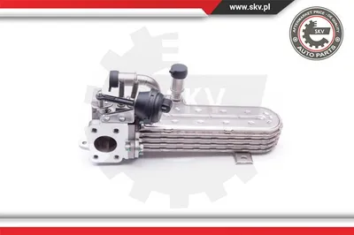 Radiateur, réaspiration des gaz d'échappement Audi A3 · Audi A3 Sportback · Seat ALTEA