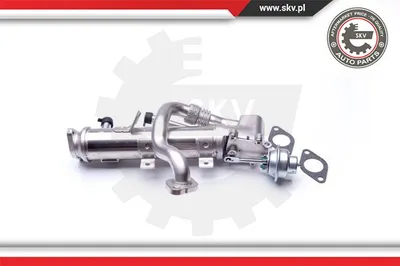 Radiateur, réaspiration des gaz d'échappement Audi A6 C6 · Audi A6 C6 Avant · Audi A5