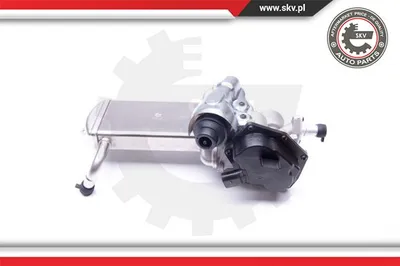 Vanne EGR Audi Q5