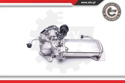 Vanne EGR Vw MULTIVAN T5 · Vw TRANSPORTER T5 Platform/Chassis (7JD, 7JE, 7JL, 7JY, 7JZ, 7F · Vw TRANSPORTER T5 Van