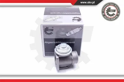 Vanne EGR Bmw 3 · Bmw 5 Touring · Bmw 5