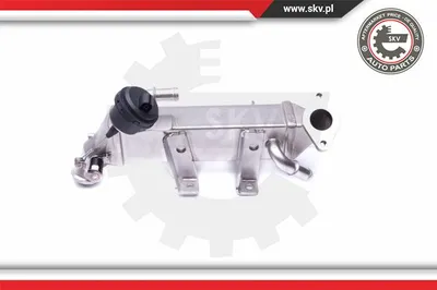 Radiateur, réaspiration des gaz d'échappement Nissan PRIMASTAR Bus · Nissan PRIMASTAR Van · Nissan QASHQAI I