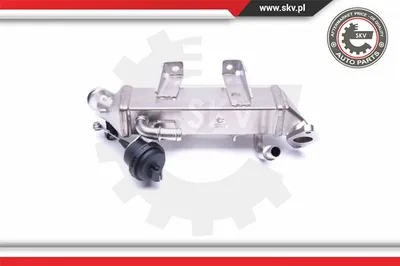 Radiateur, réaspiration des gaz d'échappement Renault LAGUNA II Grandtour · Renault LAGUNA III · Renault KOLEOS I