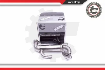 Radiateur, réaspiration des gaz d'échappement Seat IBIZA III · Seat CORDOBA · Skoda FABIA I
