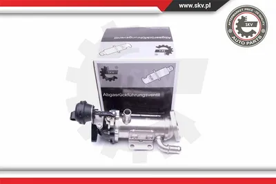 Radiateur, réaspiration des gaz d'échappement Nissan PRIMASTAR Bus · Nissan PRIMASTAR Van · Opel VIVARO A Van