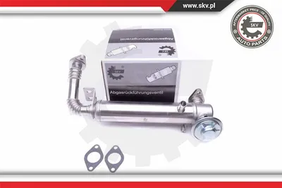 Radiateur, réaspiration des gaz d'échappement Fiat DUCATO Bus · Fiat DUCATO Van · Fiat DUCATO Platform/Chassis