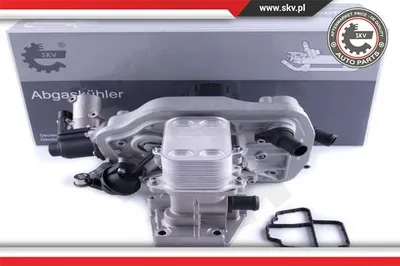Vanne EGR Vw MULTIVAN T5 · Vw TRANSPORTER T5 Platform/Chassis (7JD, 7JE, 7JL, 7JY, 7JZ, 7F · Vw TRANSPORTER T5 Van