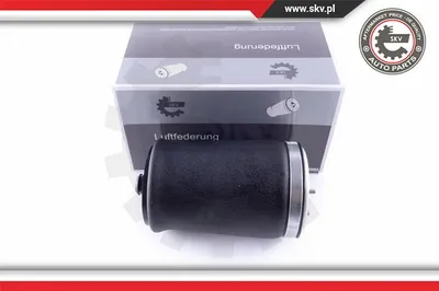 Ressort pneumatique, châssis Bmw X5