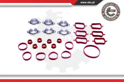 Jeu de joints d'étanchéité, collecteur d'admission Bmw 3 Compact · Bmw 3 · Bmw 3 Touring