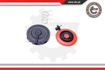 Séparateur d'huile, prise de recyclage des gas de carter Audi A3 · Audi A3 Sportback · Audi TT