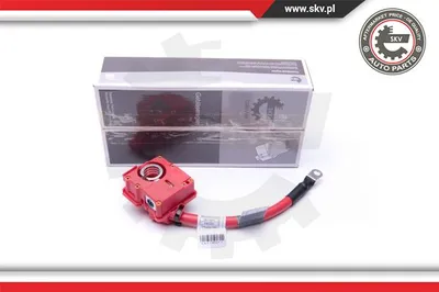 Adaptateur de batterie Bmw 1