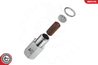 Catalyseur ESEN SKV 09SKV998