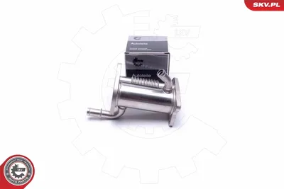 Radiateur, réaspiration des gaz d'échappement Nissan QASHQAI I · Renault MODUS / GRAND MODUS · Renault CLIO III