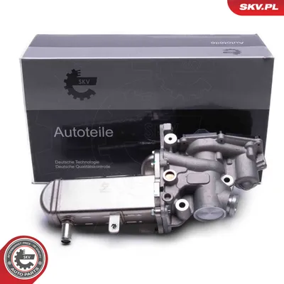 Vanne EGR Renault LAGUNA II · Renault LAGUNA II Grandtour · Renault MEGANE II