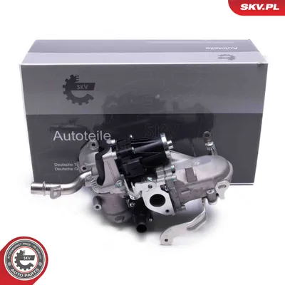 Radiateur, réaspiration des gaz d'échappement Citroën BERLINGO / BERLINGO FIRST Box Body/MPV · Citroën BERLINGO / BERLINGO FIRST MPV · Citroën JUMPY II