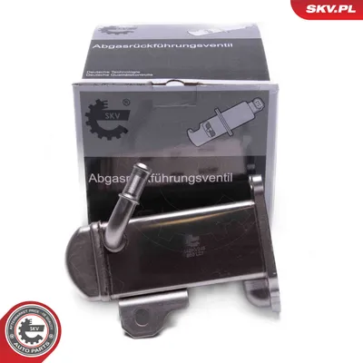 Radiateur, réaspiration des gaz d'échappement Citroën C8 · Citroën C4 PICASSO I MPV · Citroën JUMPY II
