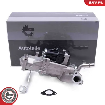 Radiateur, réaspiration des gaz d'échappement Citroën BERLINGO / BERLINGO FIRST Box Body/MPV · Citroën BERLINGO / BERLINGO FIRST MPV · Citroën C4 PICASSO I MPV