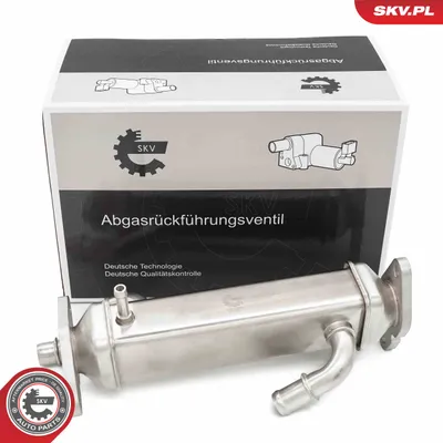 Radiateur, réaspiration des gaz d'échappement Fiat DUCATO Bus · Fiat DUCATO Van · Fiat DUCATO Platform/Chassis
