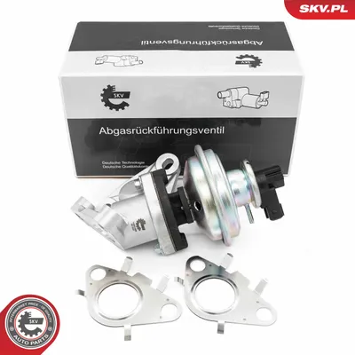Vanne EGR Bmw 5 · Bmw 5 Touring · Bmw X3