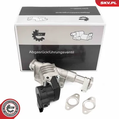 Vanne EGR Bmw 5 · Bmw 5 Touring · Bmw 1