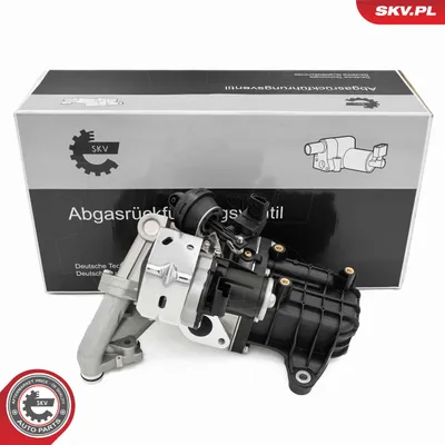 Vanne EGR Renault KANGOO · Renault CLIO II · Renault KANGOO Express